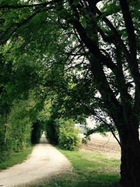Domaine Le Rolant